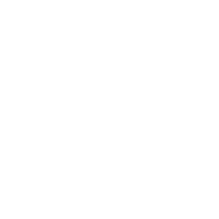 立时达货运灵活配送方案图标