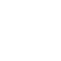 立时达货运全程运输保障图标